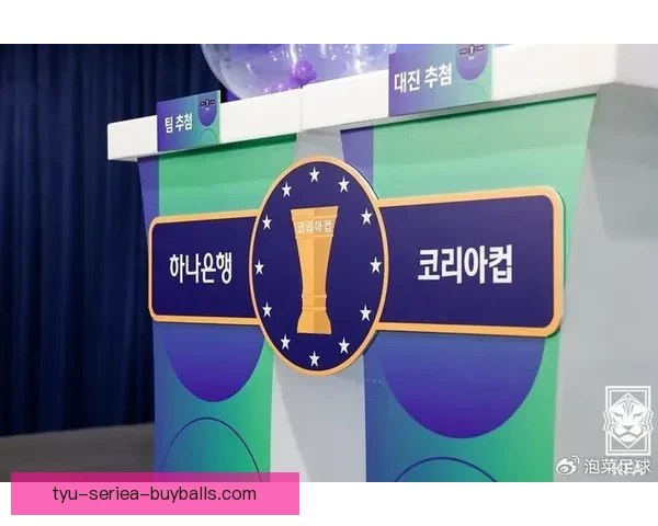 韩足协新制打通K234升降级