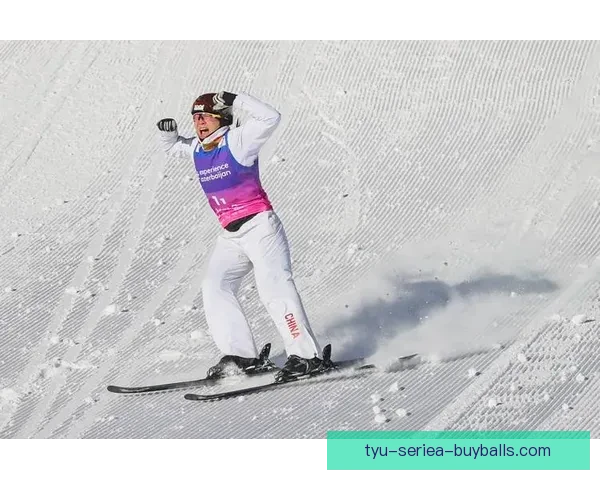 双金夫妻包揽空中技巧冠军荣耀